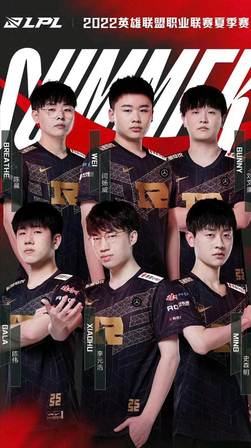 全面发展的 全面发展的